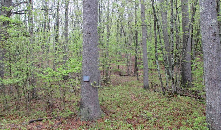 72 Brewster Rd, Barrington, NH 03825 - 0 Beds, 0 Bath