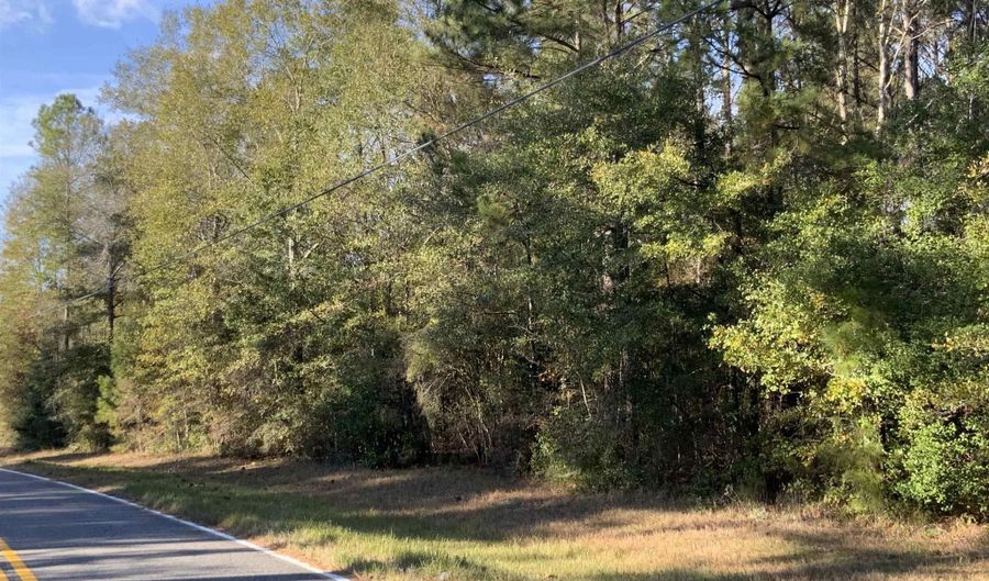 51575 Hollingsworth Rd, Bay Minette, AL 36507 - 0 Beds, 0 Bath