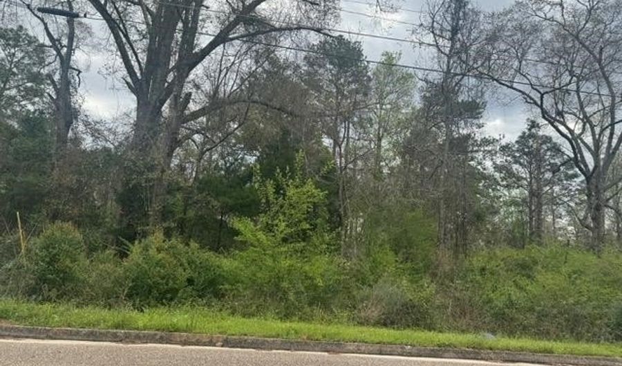 Powell Cir, Andalusia, AL 36420 - 0 Beds, 0 Bath