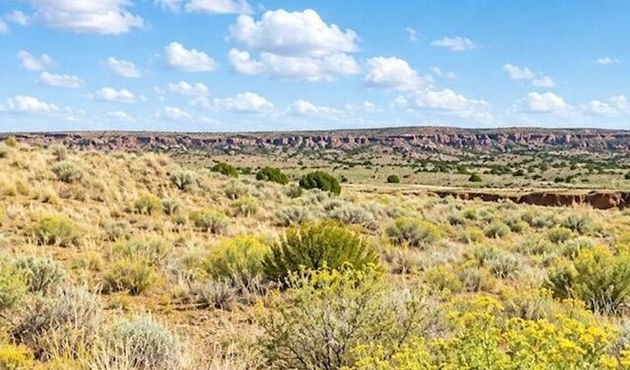107-35 Concho Lakeland 30-31, Concho, AZ 85924 - 0 Beds, 0 Bath
