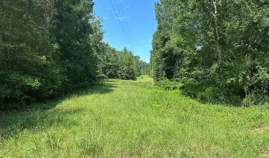 177 155 Pebble Cove Rd, Abbeville, AL 36310 - 0 Beds, 0 Bath