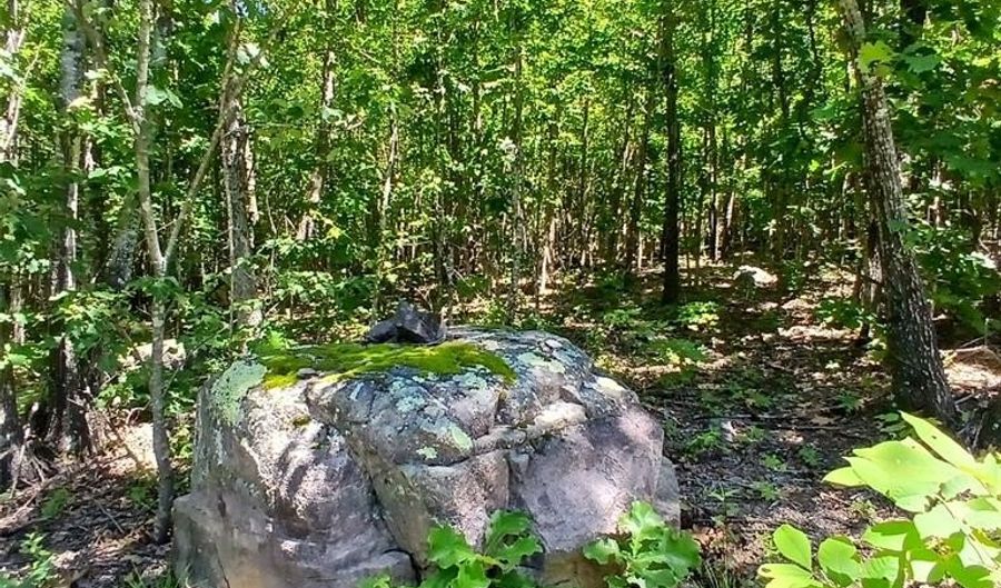 0000000 Easement, Annapolis, MO 63620 - 0 Beds, 0 Bath