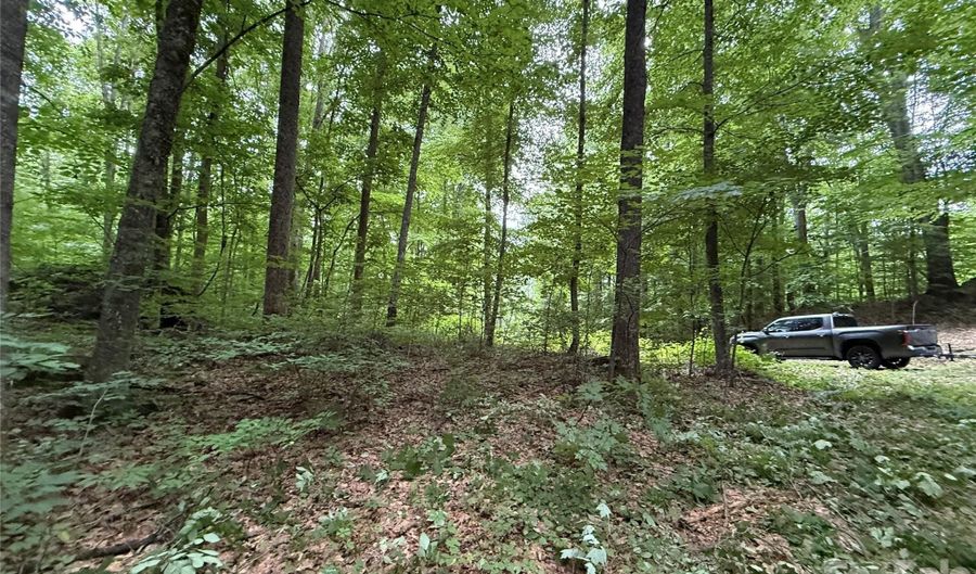 9999 Countryside Est, Barnardsville, NC 28709 - 0 Beds, 0 Bath