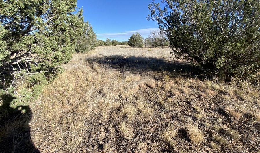 3160 W Mesa Dr, Ash Fork, AZ 86046 - 0 Beds, 0 Bath