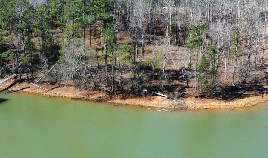 LOT 27 SHORESIDE AT SIPSEY, Double Springs, AL 35553 - 0 Beds, 0 Bath