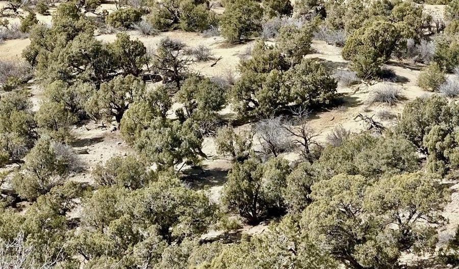 CR 2550 Road, Aztec, NM 87410 - 0 Beds, 0 Bath