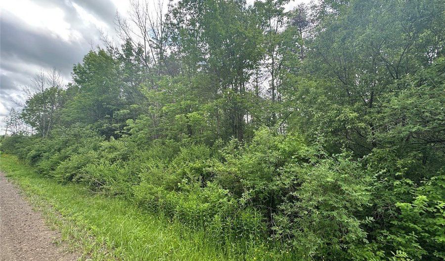 Townline Road, Angelica, NY 14709 - 0 Beds, 0 Bath