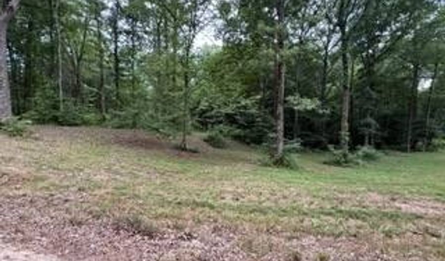 954 Stokes Ln, Bath Springs, TN 38311 - 0 Beds, 0 Bath
