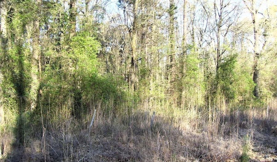 LR 29, Ashdown, AR 71822 - 0 Beds, 0 Bath