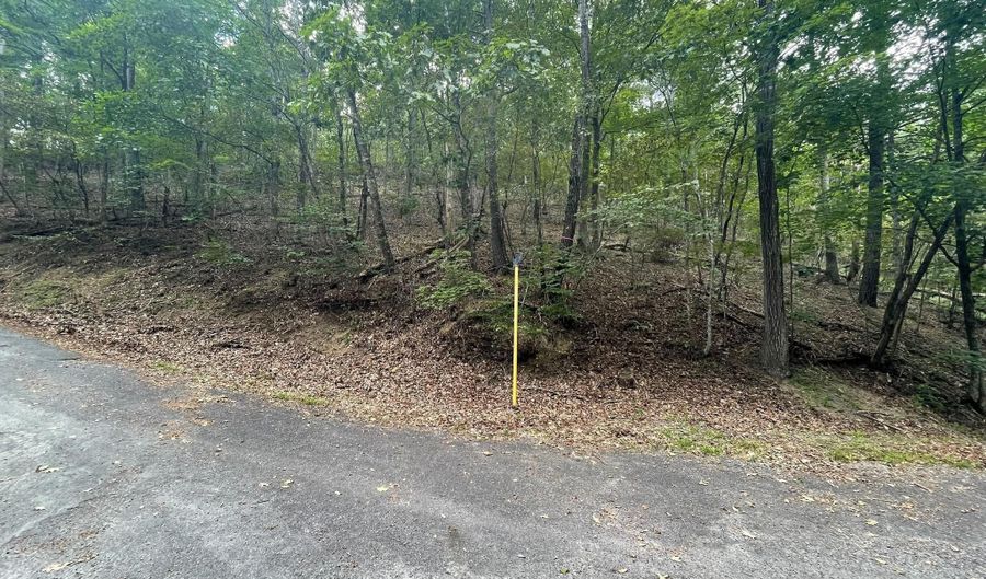 STONEWALL AND LEE DRIVE, Basye, VA 22810 - 0 Beds, 0 Bath
