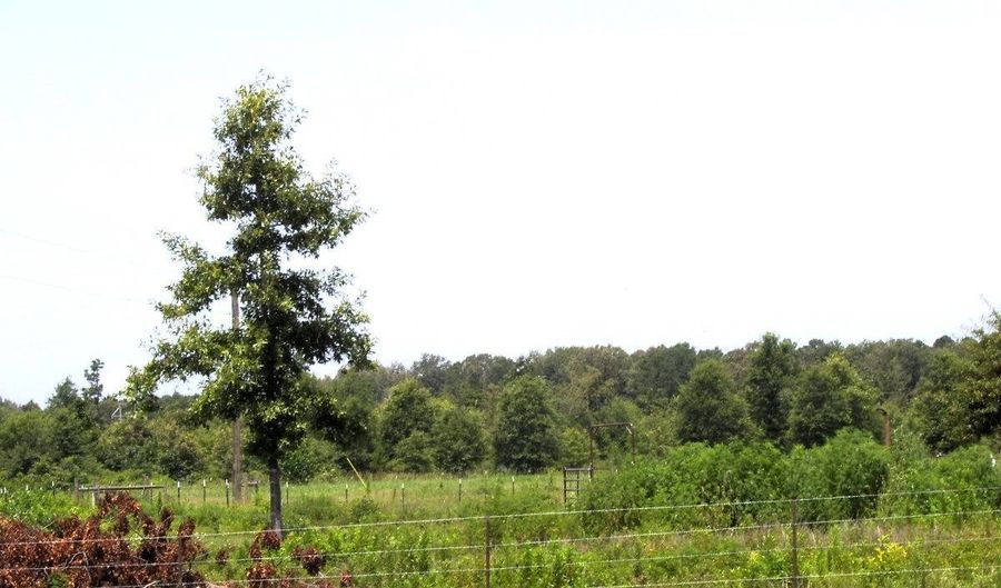 138 Little River 183, Ashdown, AR 71822 - 0 Beds, 0 Bath