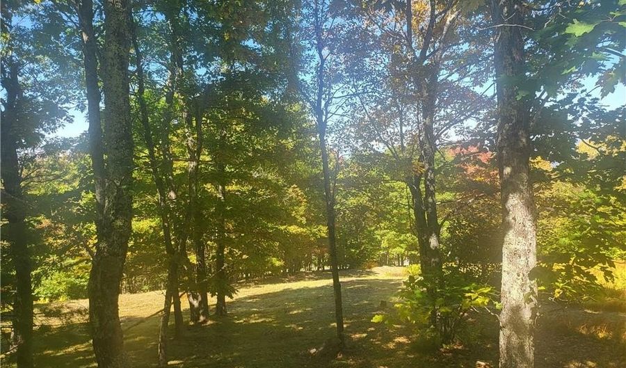 Tbd Rocky Parkway, Banner Elk, NC 28604 - 0 Beds, 0 Bath