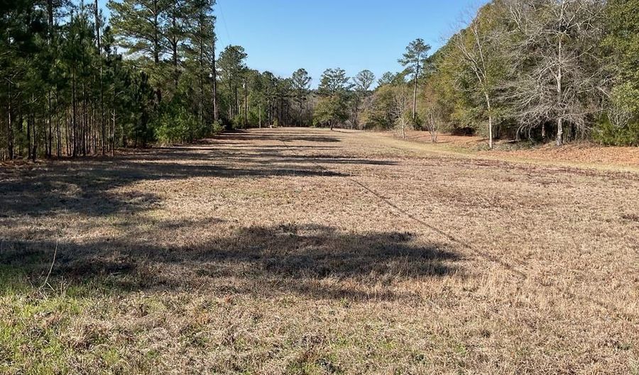 26489 Point A Isle Rd, Andalusia, AL 36421 - 0 Beds, 0 Bath
