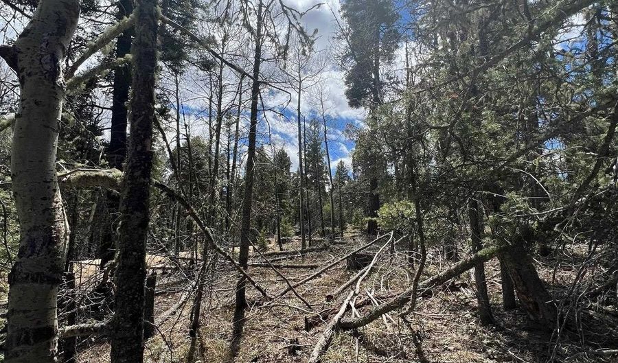 Lot 54 Vermejo Cir, Angel Fire, NM 87710 - 0 Beds, 0 Bath