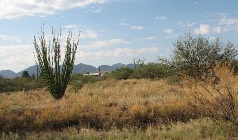 16415 S Shoshone Trl 317, Benson, AZ 85602 - 0 Beds, 0 Bath