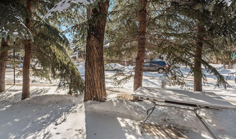 814 W Bleeker St E4, Aspen, CO 81611 - 3 Beds, 3 Bath