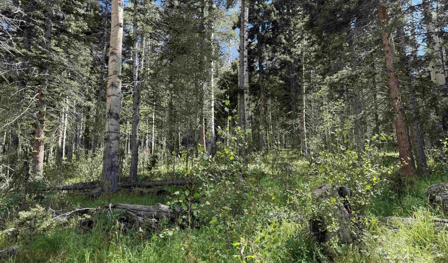 Lot 23 Elk Ridge Road, Angel Fire, NM 97710 - 0 Beds, 0 Bath