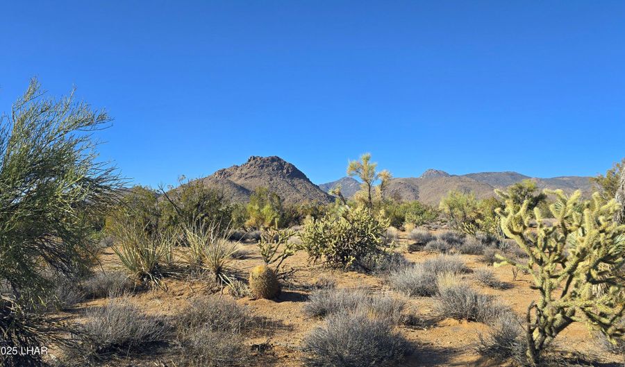 2 B S Cattle Crossing Rd, Yucca, AZ 86438 - 0 Beds, 0 Bath
