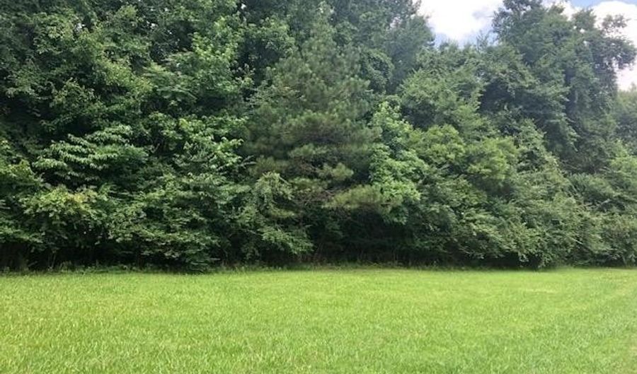 LYNNWOOD Cv, Adamsville, TN 38310 - 0 Beds, 0 Bath