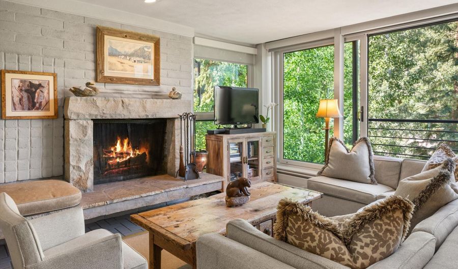 728 S Galena St 202-B, Aspen, CO 81611 - 3 Beds, 2 Bath