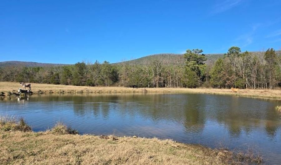 10 TBD Bates Arkansas, Bates, AR 72958 - 0 Beds, 0 Bath