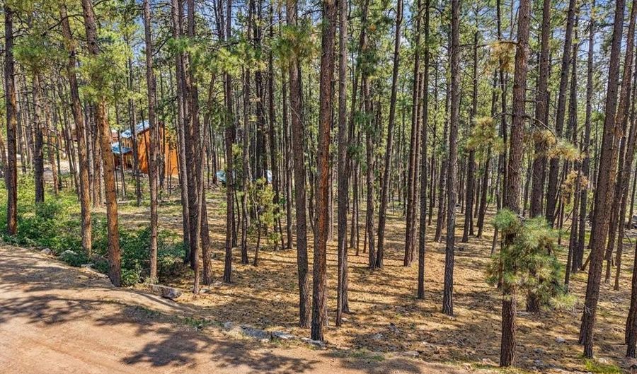 432 Blue Ridge Dr, Bayfield, CO 81122 - 0 Beds, 0 Bath