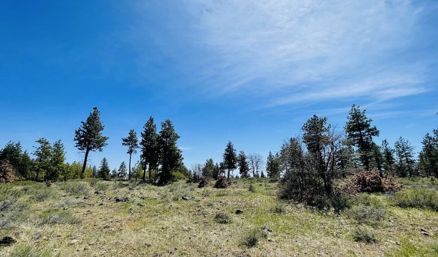 Jensen Quarry RD, Bickleton, WA 99322 - 0 Beds, 0 Bath
