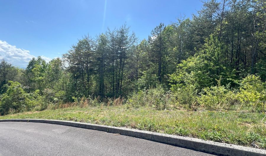 Tbd Megans Trail, Bean Station, TN 37708 - 0 Beds, 0 Bath