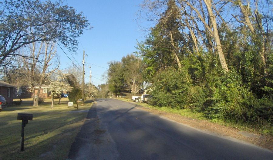 Georgia Avenue, Barnwell, SC 29812 - 0 Beds, 0 Bath