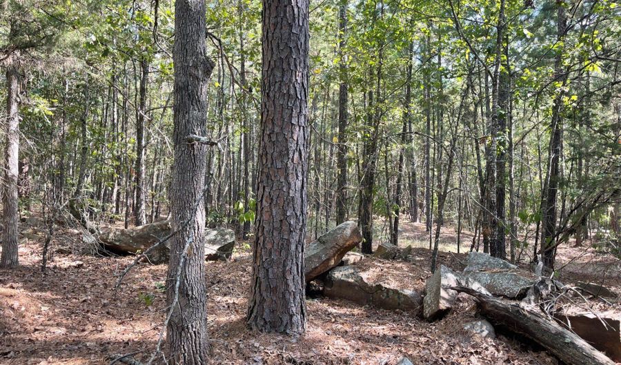 38 Antlers Rd, Antlers, OK 74523 - 0 Beds, 0 Bath