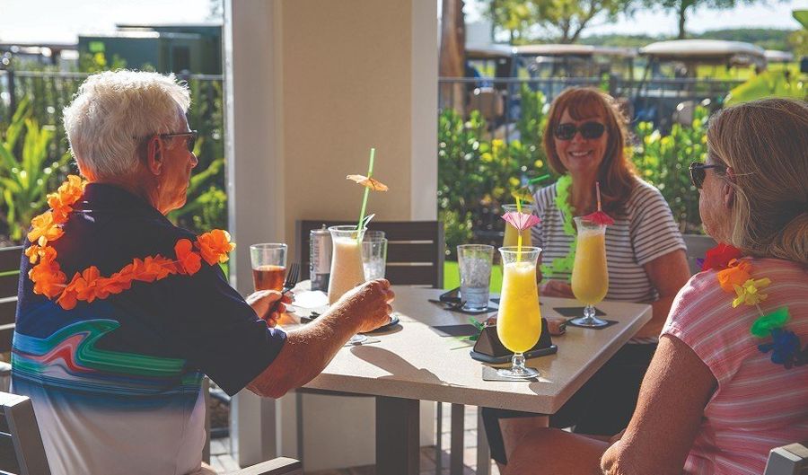 3969 Cranesbill Ct, Alva, FL 33920 - 5 Beds, 3 Bath