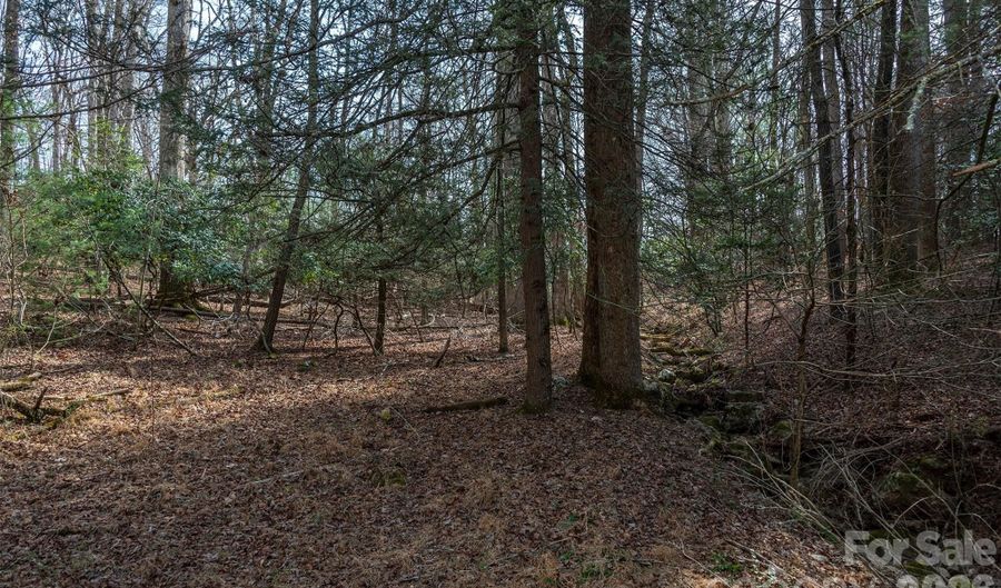 Ball Gap Road, Arden, NC 28704 - 0 Beds, 0 Bath
