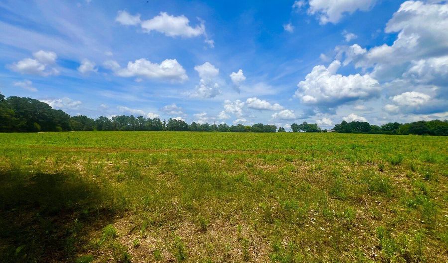 0 N County Rd. 75, Ashford, AL 36312 - 0 Beds, 0 Bath