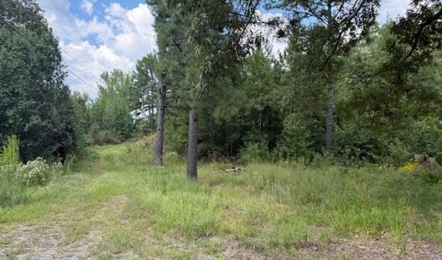 54 Shurley Ln, Austin, AR 72007 - 3 Beds, 2 Bath