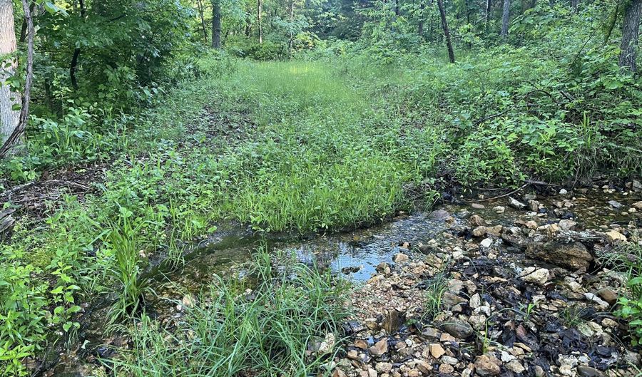 County Road P-305, Ava, MO 65608 - 0 Beds, 0 Bath