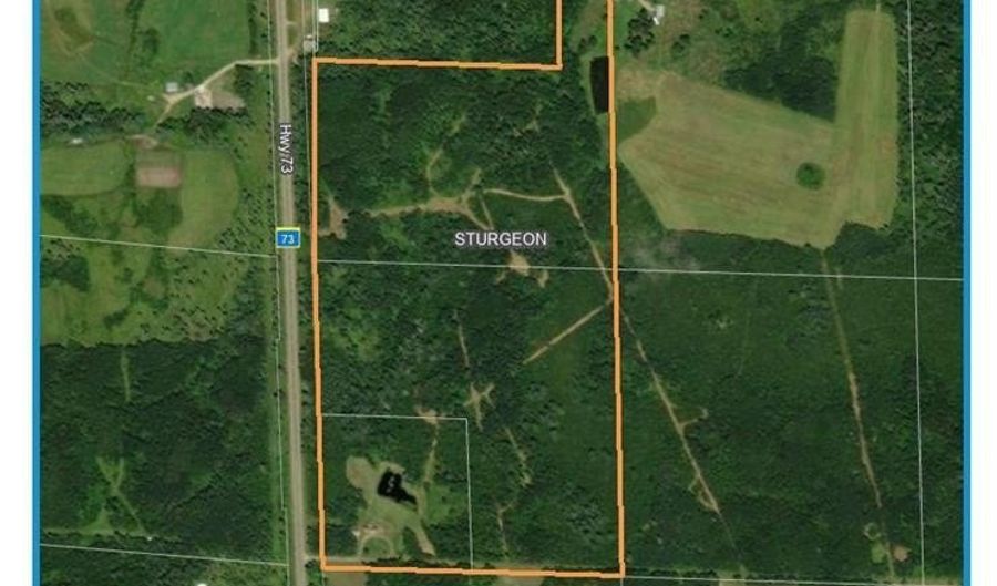 8800 Hwy 73, Angora, MN 55723 - 2 Beds, 1 Bath