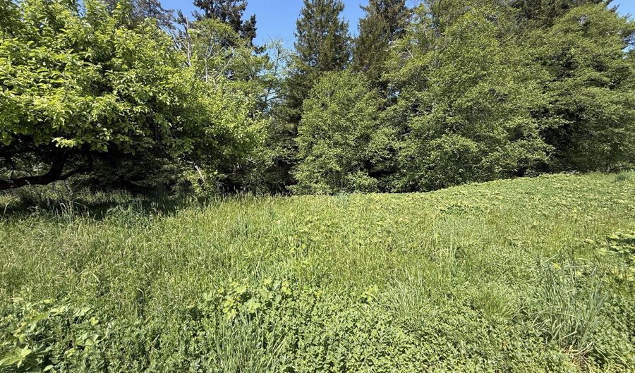 6803 MAGNOLIA Ct Lot #2, Brookings, OR 97415 - 0 Beds, 0 Bath