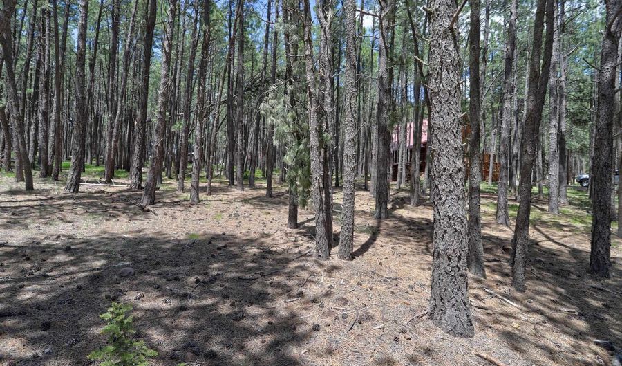 Lot 563 Lakeview Park Drive, Angel Fire, NM 87710 - 0 Beds, 0 Bath