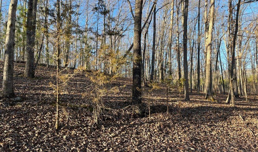 Stockdale Circle, Big Sandy, TN 38221 - 0 Beds, 0 Bath