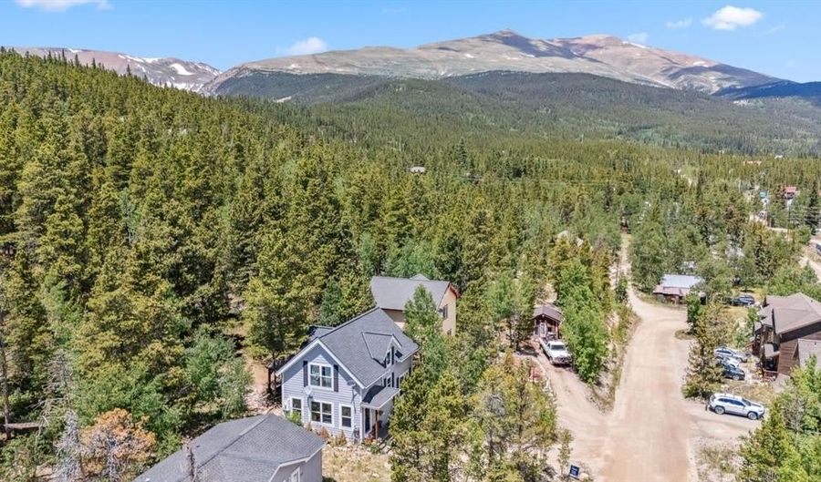 323 N OAK St, Alma, CO 80420 - 3 Beds, 2 Bath