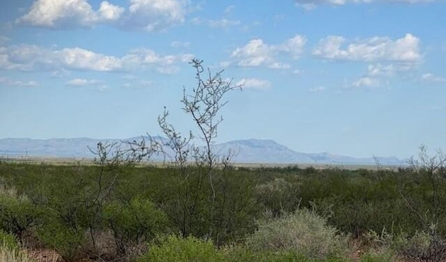 Ronald Reagan Parkway, Benson, AZ 85616 - 0 Beds, 0 Bath