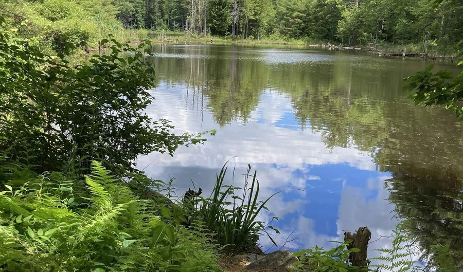 249 Villager Rd, Chester, NH 03036 - 2 Beds, 3 Bath