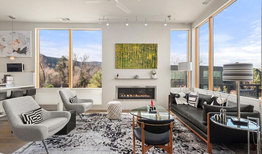 103 Willits Way 204, Basalt, CO 81621 - 2 Beds, 2 Bath