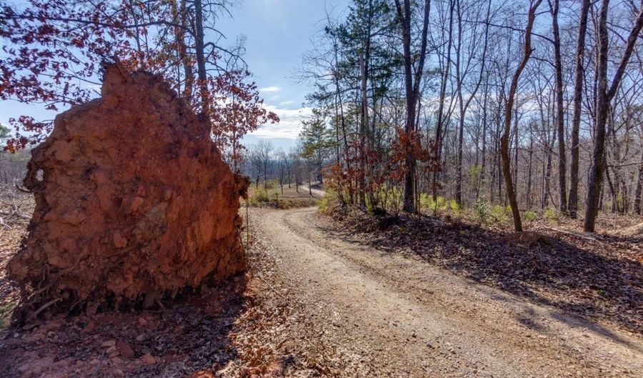 170 Sperin Cabinet Rd, Ball Ground, GA 30107 - 0 Beds, 0 Bath