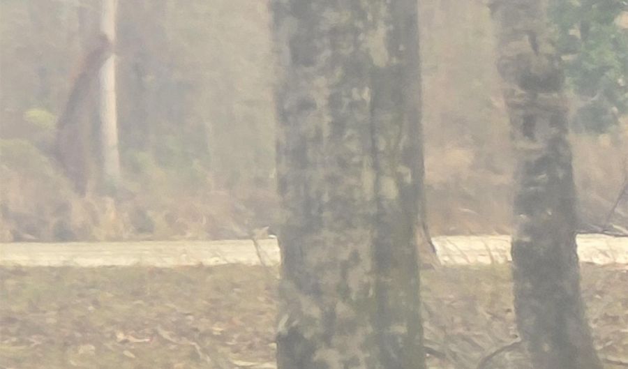 CYPRESS POINT DRIVE lot 12, Akron, AL 36776 - 0 Beds, 0 Bath