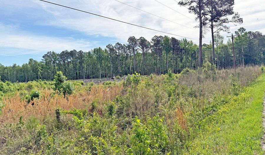 McCall's Millpond Rd, Bennettsville, SC 29512 - 0 Beds, 0 Bath