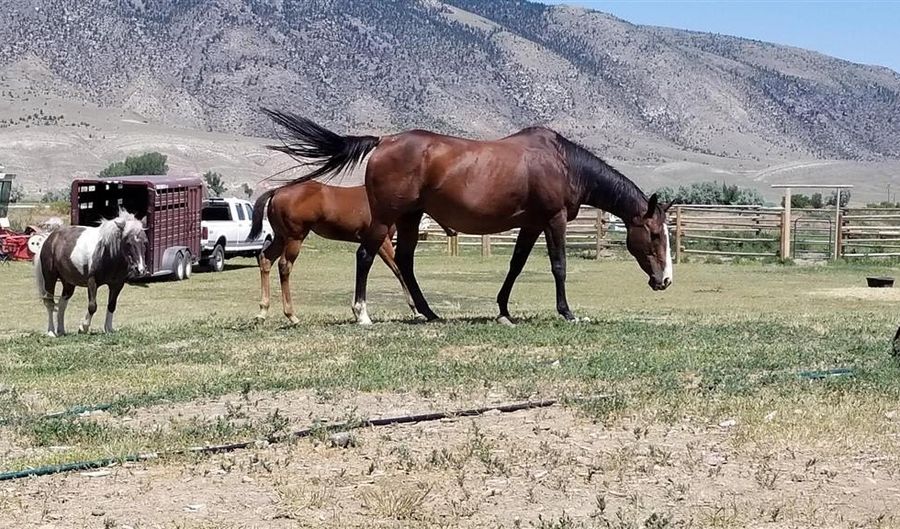 15 Arrowhead Dr, Cody, WY 82414 - 2 Beds, 1 Bath