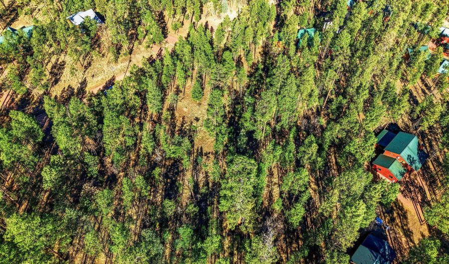 20 Co Rd 2067, Alpine, AZ 85920 - 0 Beds, 0 Bath