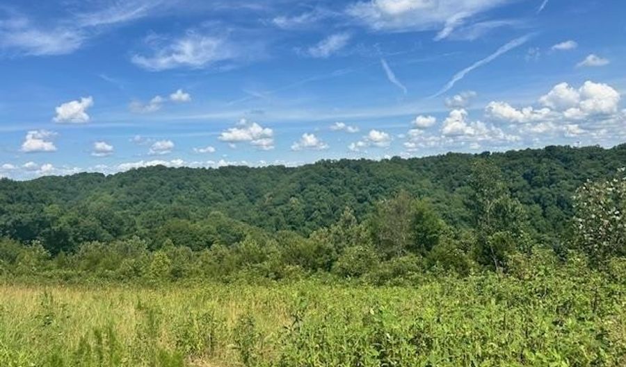 Lot 13 NE HO Allison, Baxter, TN 38506 - 0 Beds, 0 Bath