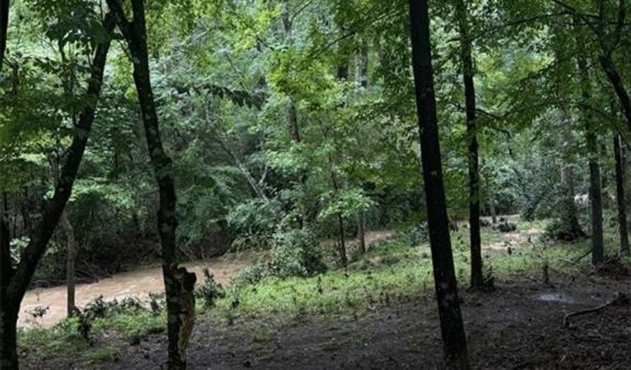 389 SHELL TOOMER Pkwy, Auburn, AL 36830 - 4 Beds, 3 Bath